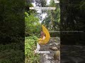 Situ Gunung Suspension Bridge