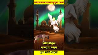 Thumbnail for লাইলাতুল কদরের রাতে কুকুর কেন চুপ থাকে || Lailatul Qadr || Shab E Qadr