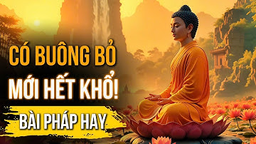Buông Bỏ Đúng Cách để Giải Hết Nghiệp Nặng: Hiểu biết nhân quả để tìm kiếm sự an vui