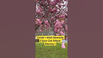 🕌🕋🤲 CENAB-I ALLAH NAMAZDA 2 ŞEYE ÇOK DİKKAT EDERMİŞ ! #namazaşkı #dua  #viralvideo #youtubeshorts