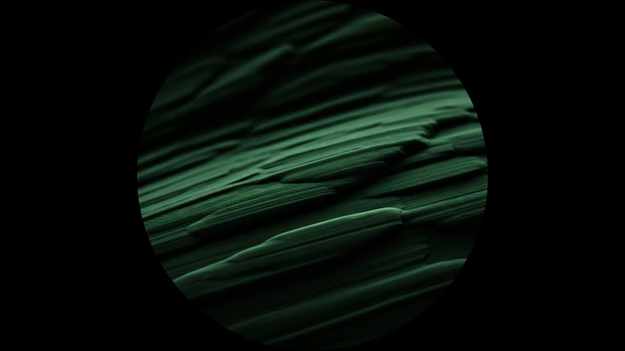 Alberto Tolo - Older [ALT]