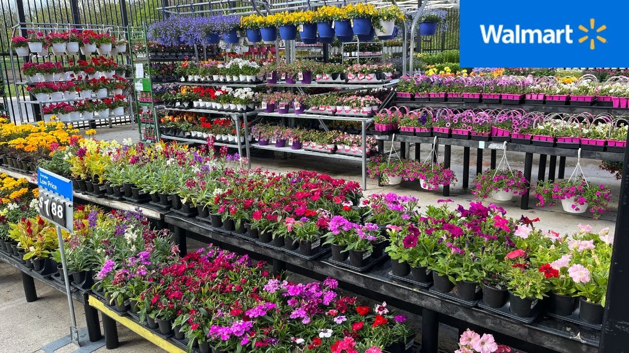 New Summer 2023 Plant Shipment at Walmart Garden Center💕🌺🌸 YouTube