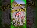 🏠Property बिक नहीं रही? अपनाएँ ये असरदार Jyotish Upaay - Astrology Remedy | Dr. Anamika N Ratliya ✨