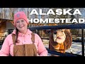 Alaska Homestead Bound! 3 Crucial Insights for Aspiring Homesteaders!