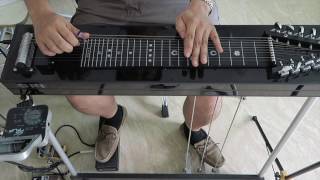 Video thumbnail of "Dire Straits - Walk of Life - pedal steel solo by Paul Franklin - Part 2"