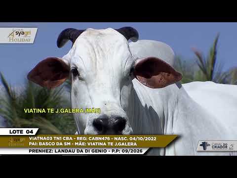 LOTE 04   VIATNA03 TN1 CBA   CABN476