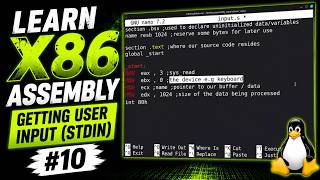 LEARN X86 ASSEMBLY: GETTING USER INPUT(STDIN)