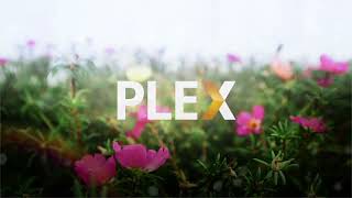 Flowers Plex Pre-Roll (1080p)