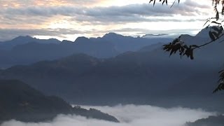 台灣四處趴趴走 南投武界深度之旅