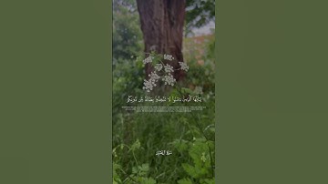 محمد اللحيدان تلاوة جميلة #محمد_اللحيدان #لايك #المصحف #اكسبلور