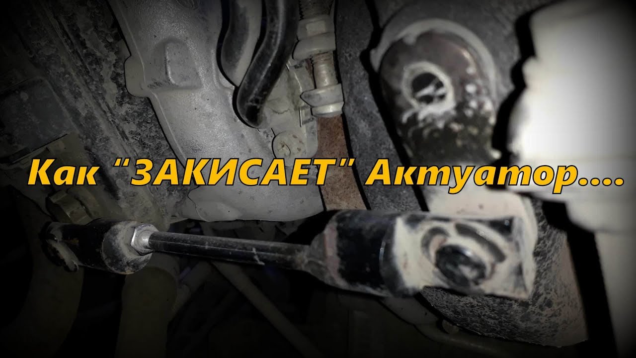 Шкода горит тс
