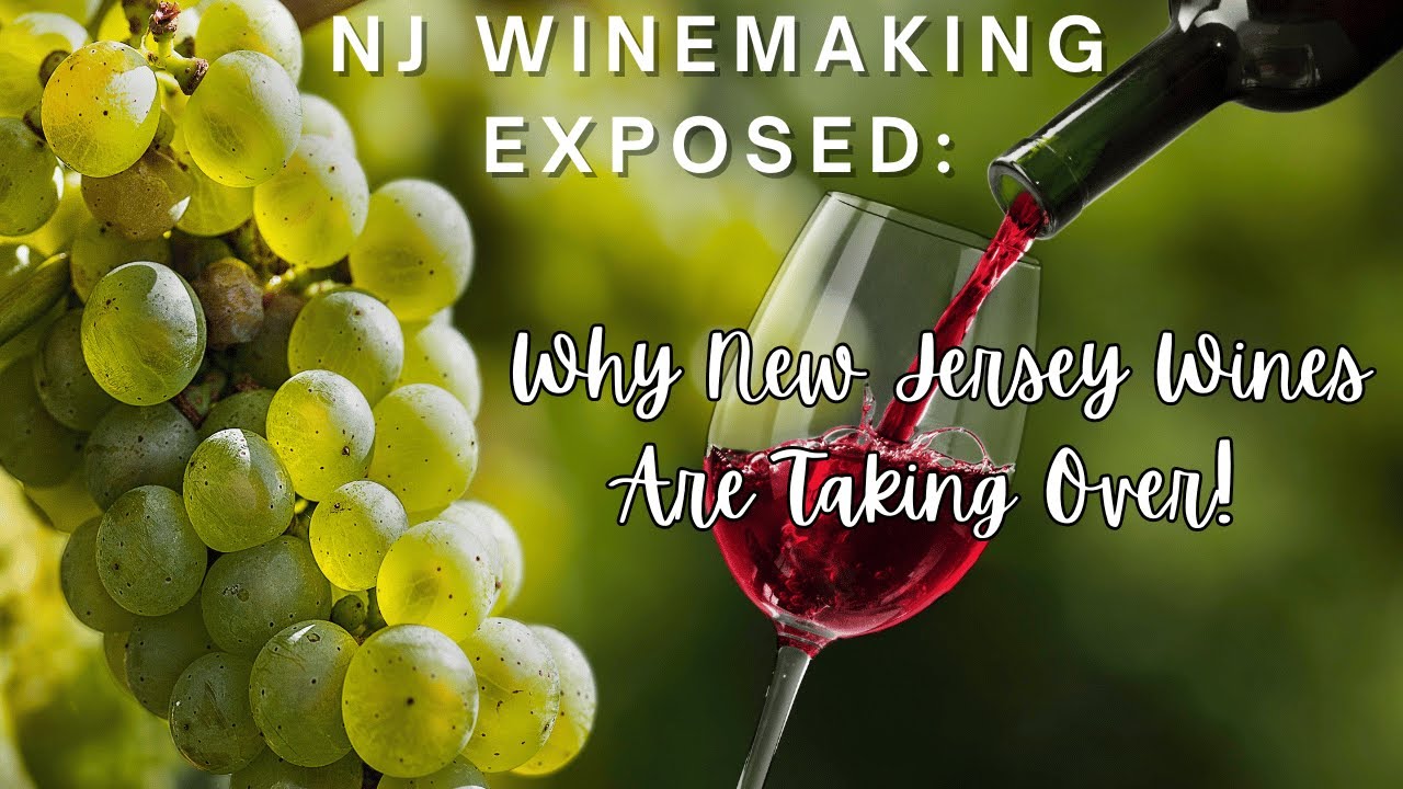 New Jersey Wine-making EXPOSED: Why New Jersey Wines Are Taking Over!
