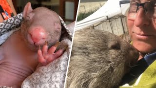 Tiny pink blob raised by woman now looks like giant adorable rat