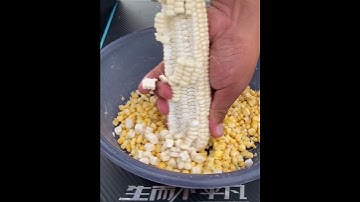 dụng cụ tách bắp hạt ngô