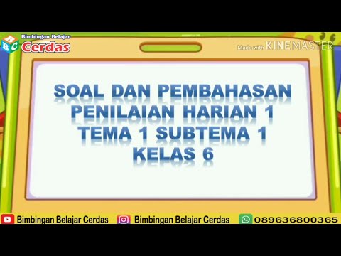 Mengenal lebih dalam tentang varietas ubi Cilembu atau ubi madu / honey sweetpotato. 