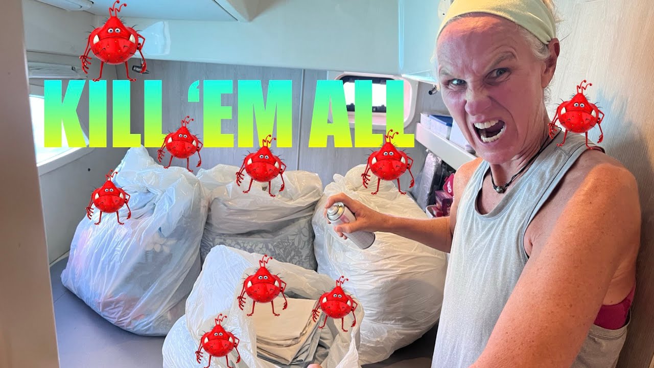 ⁣355: We Explored Raiatea... and THIS Happened!