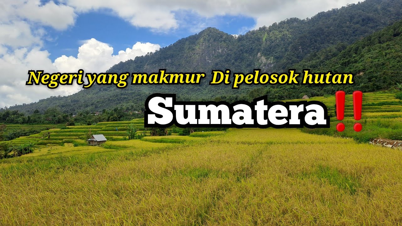 DESA PAGAR BATU‼️NEGERI  MAKMUR YANG TERISOLASI DI PEDALAMAN HUTAN BELANTARA