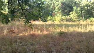 Tippecanoe River State Park | Indiana DNR