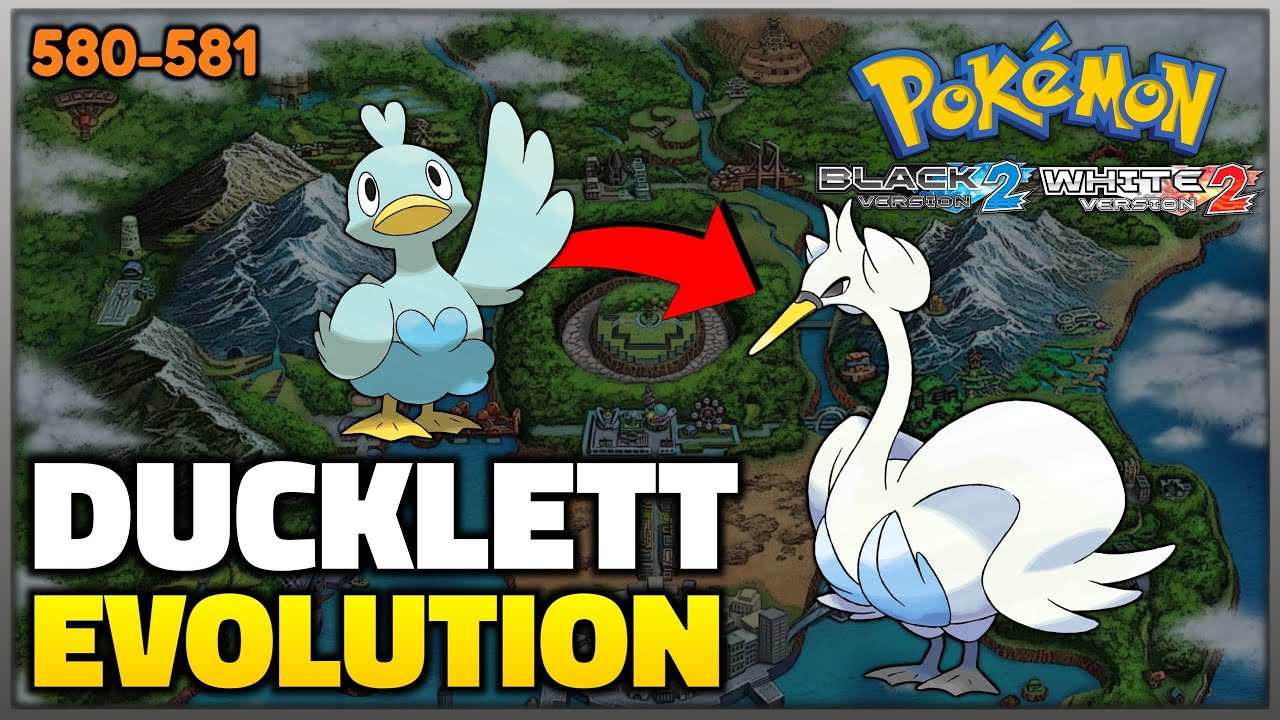 Ducklet First Evolution How To Evolve Ducklett into Swanna in Pokemon Black 2 and White 2 - YouTube