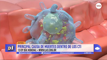 ¿Cuál es el primer órgano que falla en la sepsis?