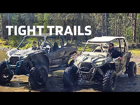 Beautiful Fall UTV Ride | Mclean Creek - YouTube