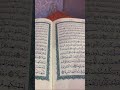 Be shak ❤️Quran Urdu translation #shortvideo #shorts #quran #love