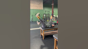 Dead Bug Resisted Hip Flexion (Eccentric Focus)