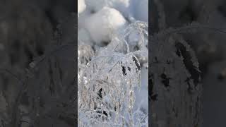 все самое лучшее и красивое для Вас с любовью из Исландии❤️❤️❤️