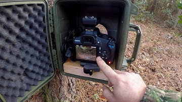 DSLR Camera Trapping: Part 1