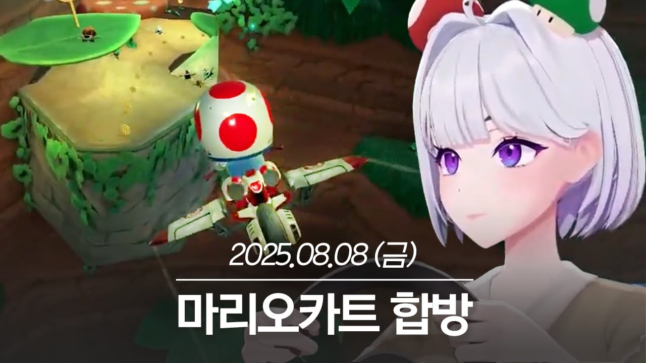 20250808 마리오카트 합방 - 아이네 다시보기