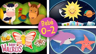 Colección De Videos Jugamos Al Cu-Cú Tras Serie Educativa Para Bebés De 0 A 2 Años