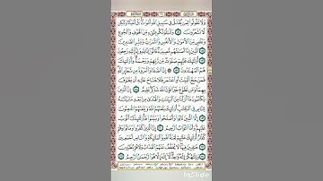 سورة البقرة من أية 154 حتى 163 #يومياصفحةقرءانية #الجزائر #مصر #الوطن_العربي #قطر #اكسبلور #المصحف