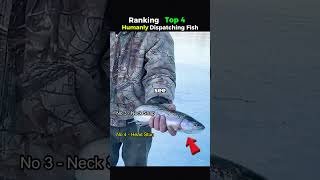 Top 4 Humanly dispatching fishes #shorts #fishing #shark #marinemystery #deepsea #facts #fish