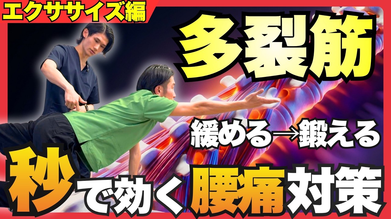 【腰痛×多裂筋エクササイズ】緩める→鍛えるの黄金パターンで９割の患者さんが効果を実感！！効果抜群の多裂筋エクササイズを解説！#整体 #整体師 #整骨院 #多裂筋