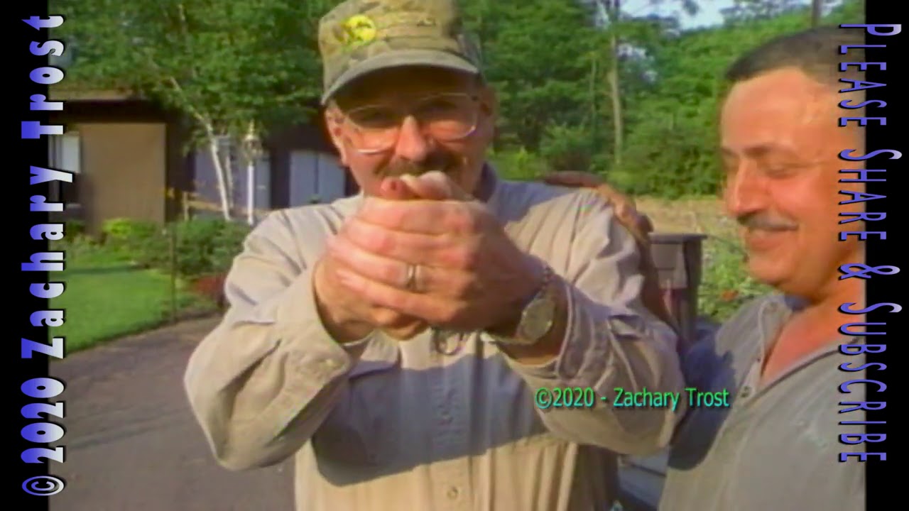 Bow Fishing for Gar Pike at Night - A look at some RV Camping - News and More 1999-02-04 FTPS