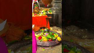 Mahadev Status   Bholenath Status  Mahakal Status mahadev  shorts