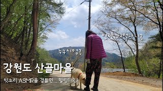 [VLOG] 강원도 산골마을 / 빗소리 ASMR을 곁들인 힐링타임! / 일일 농부 체험기