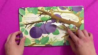Bug Homes - Usborne Books and More