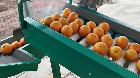 orange grading machine, orange apple sorting machine