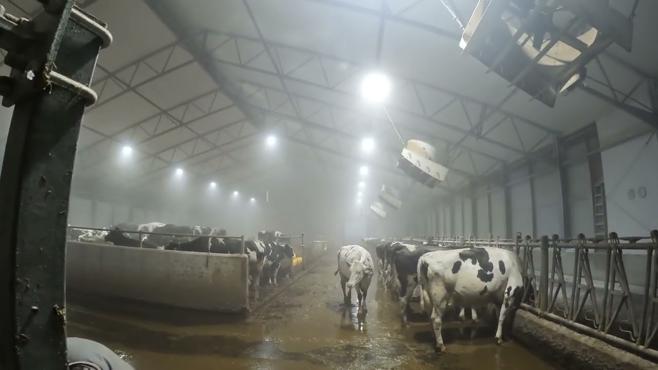 Запачканный паром робот!