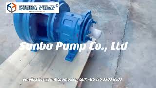 Goulds 3196 ANSI Standard Chemical Processing Centrifugal Pump