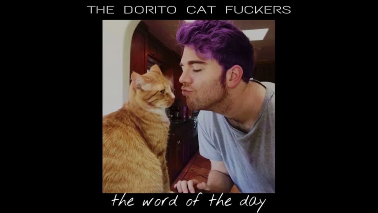 Fuckercats