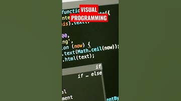 VISUAL PROGRAMMING