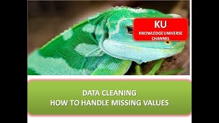 CLEANING DATA : HOW TO HANDLE MISSING VALUES WITH PYTHON