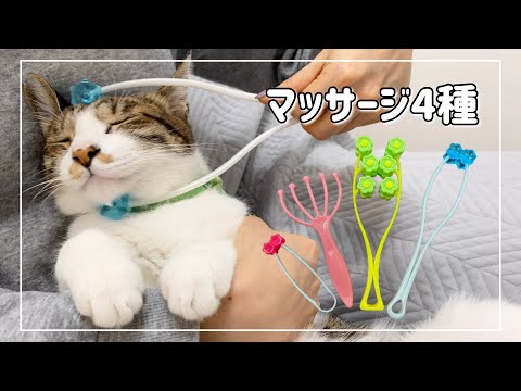 マッサージ大好きな猫に4種類のマッサージローラーしたらどれを気に入る？【4K猫動画】