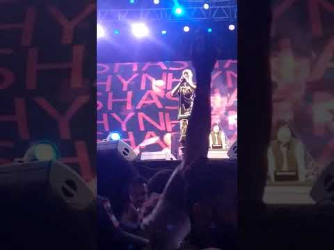 ما علينا شاهين