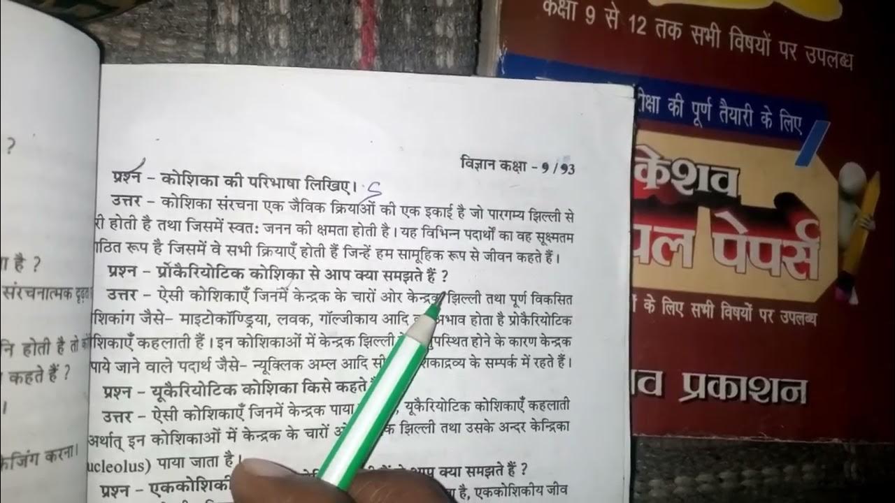 Koshika Kise koshika-kise