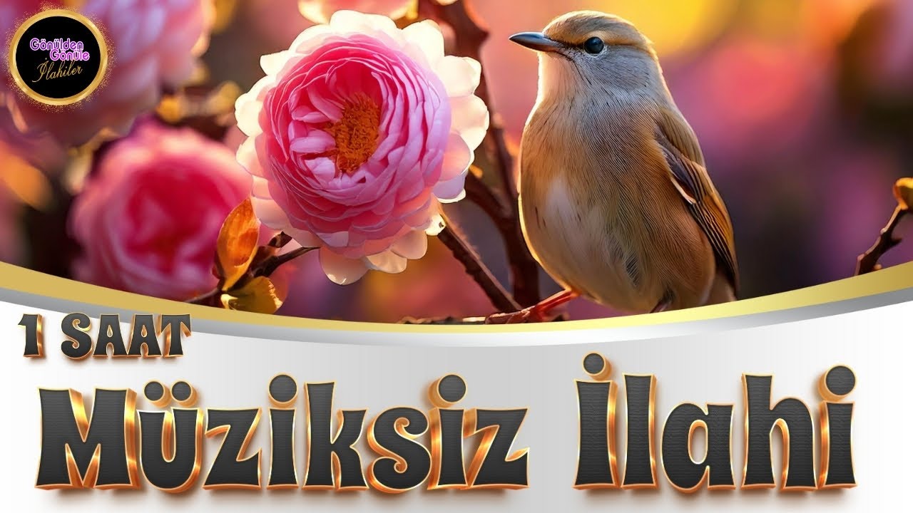 1 SAAT MÜZİKSİZ İLAHİ KEYFİ | EN GÜZEL İLAHİLER | HAYIRLI CUMALAR