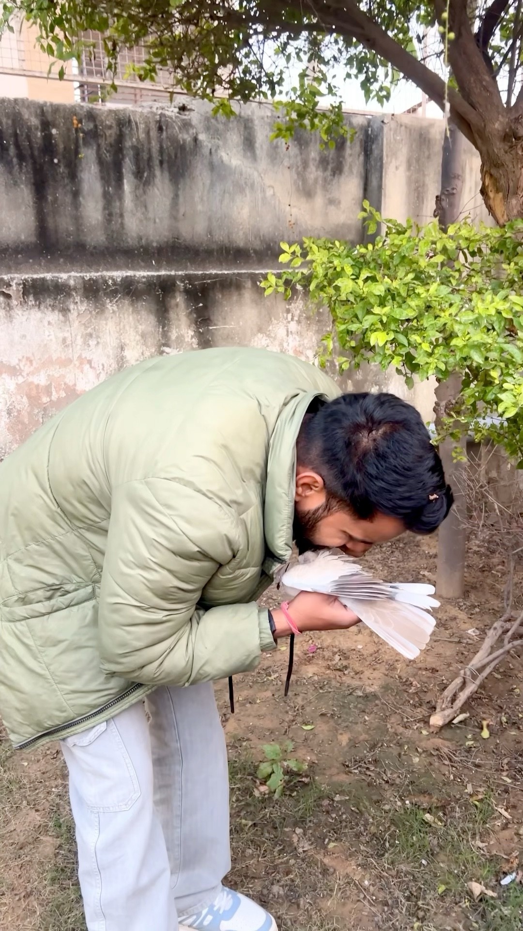 Makar Sankranti Par Bezubaan ka Dhyan rakho? #youtubeshorts #motivation #sad #happymakarsankranti