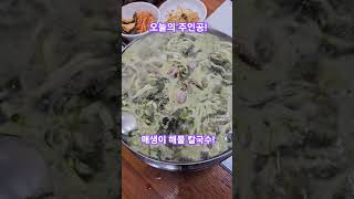 #매생이해물칼국수 #춘천 #손수해물손칼국수 #맛집 #셀라힐링카페 #끌림앤유